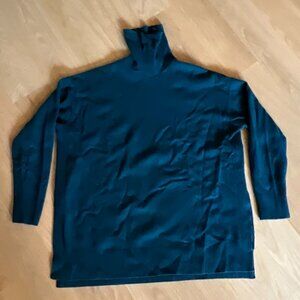All Saints Tunic Turtleneck